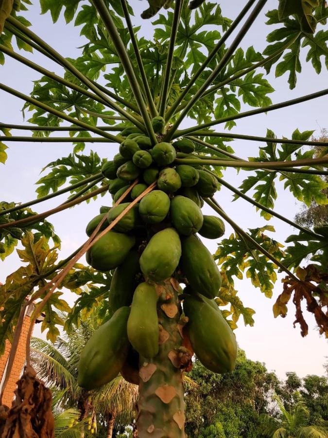 Pousada Terra Prometida Sao Pedro  Eksteriør billede